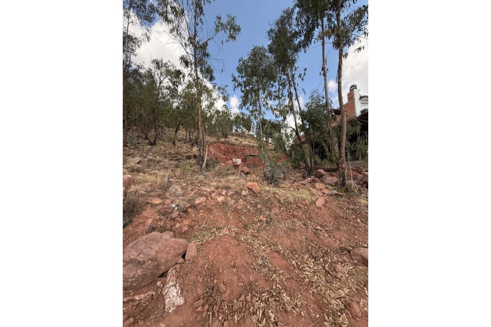 Foto de 🌳🏠 ¡EL LOTE PERFECTO PARA CONSTRUIR TU FUTURO! 430 m² EN VENTA EN BARRIO SAN LUIS - L4 🏠🌳
