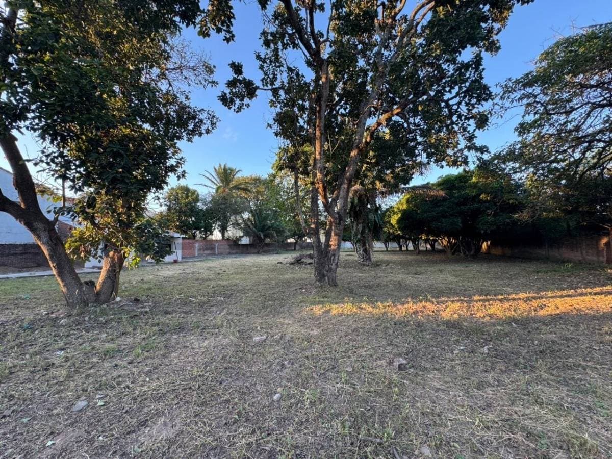 Foto de AMPLIO TERRENO EN ALQUILER EN ZONA NORTE