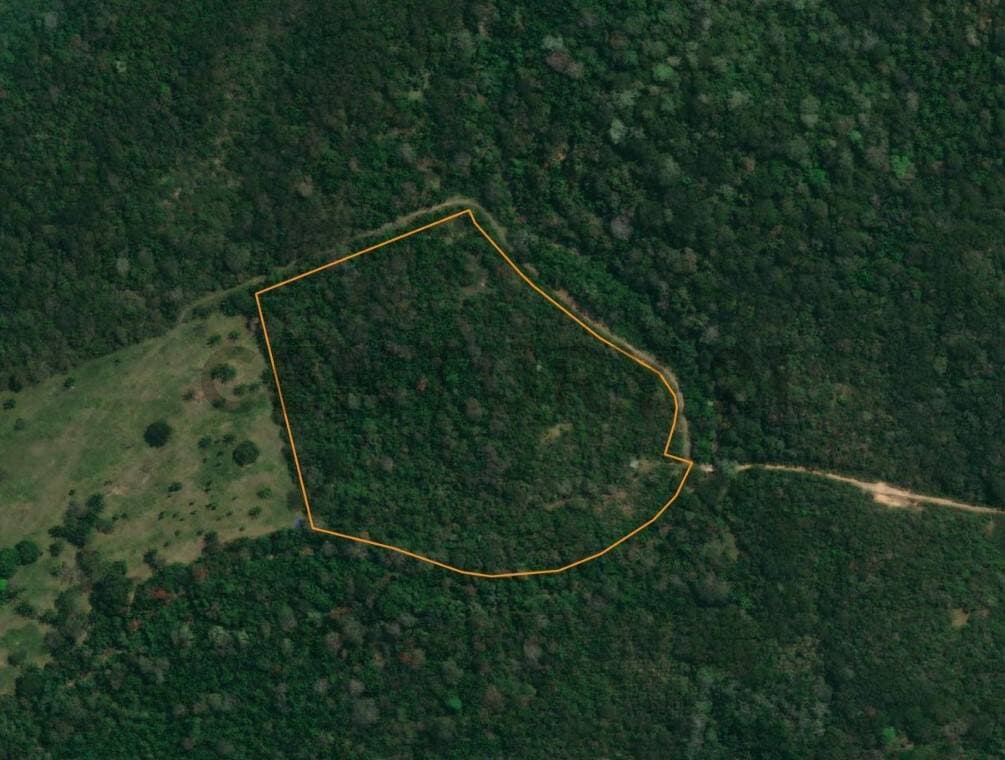 Foto de PROPIEDAD EN VENTA EN EL URUBO - 5 Hectareas