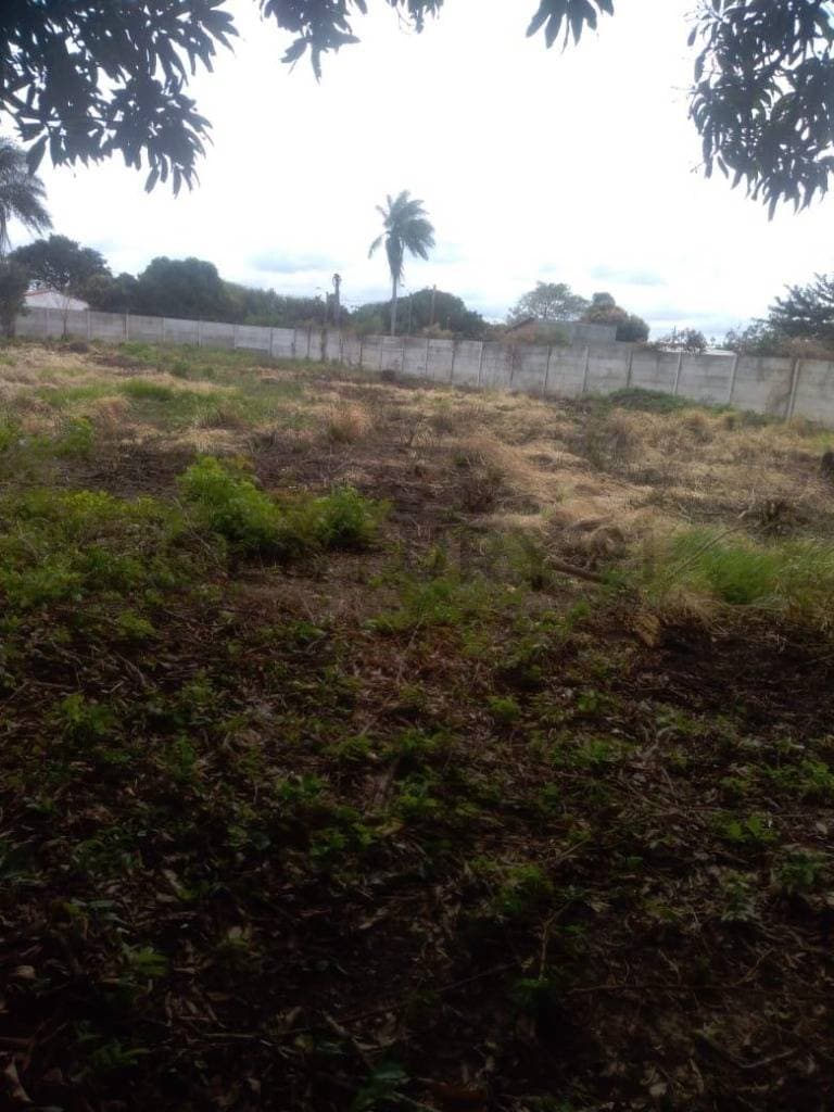 Foto de TERRENO EN ALQUILER EN ZONA COTOCA
